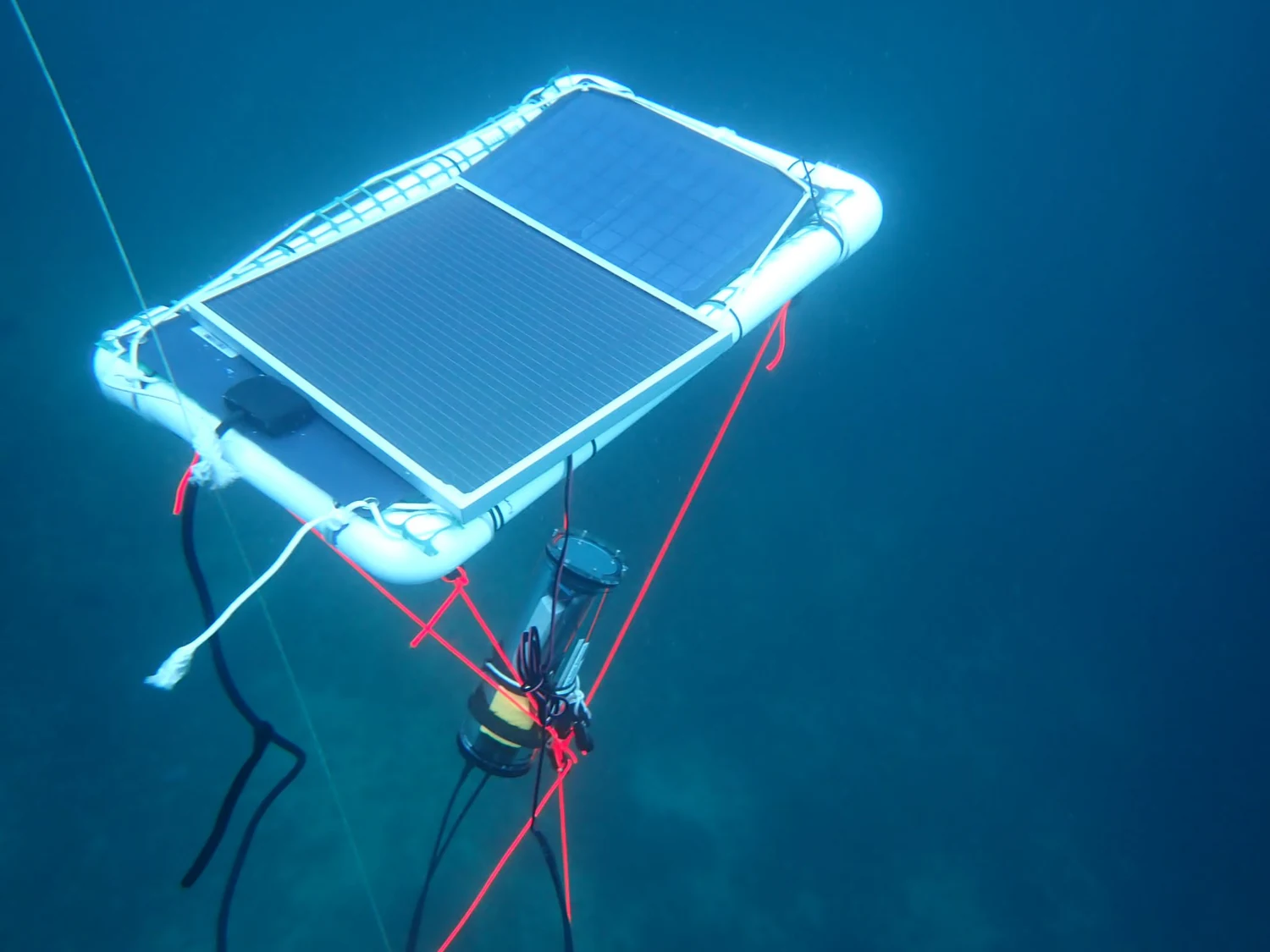 Underwater photograph of the experimental panel and suspended measurement rig.