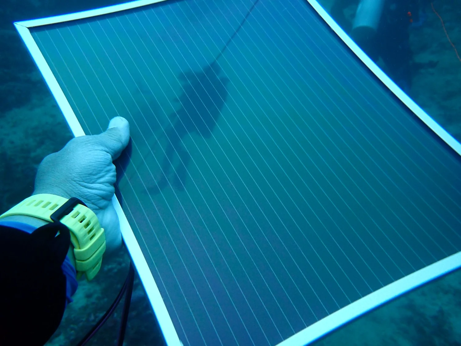 Photograph of the solar panel and frame during the underwater test.